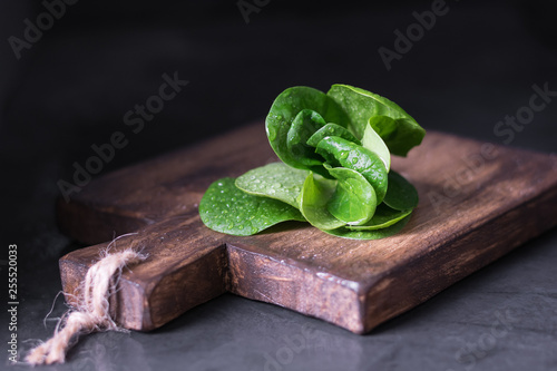 Fresh spinach on a wooden board, dark photo