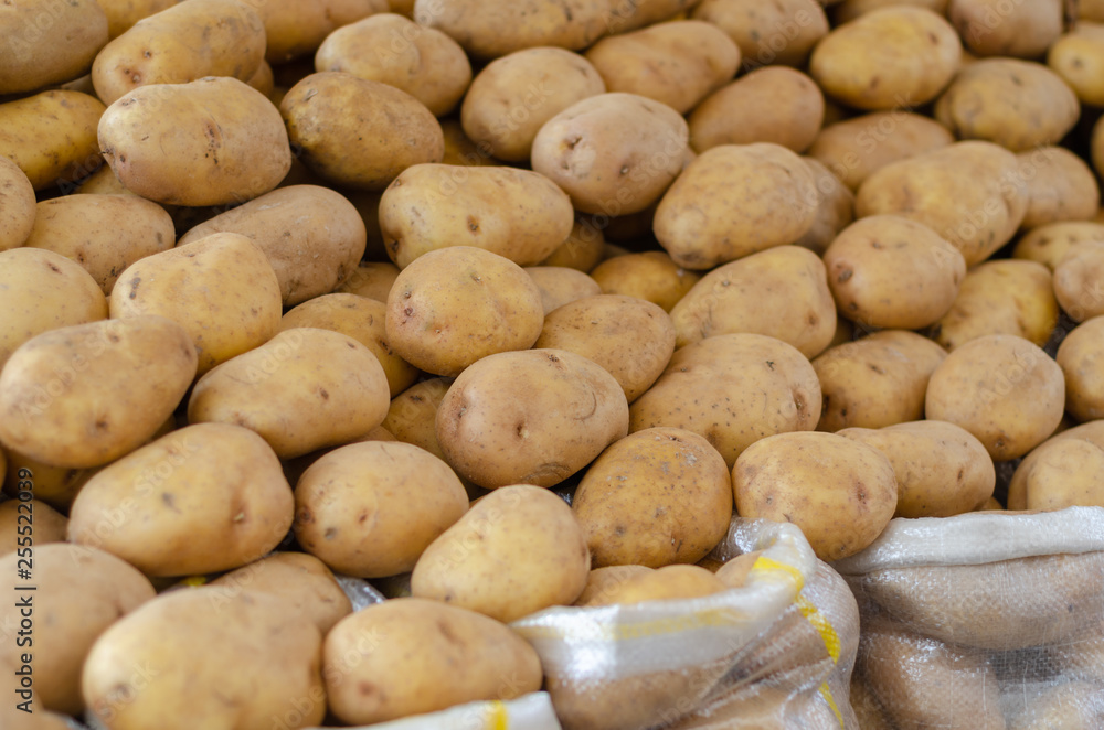 Fresh raw potato. Potatoes on market Fresh raw potato. Potatoes on market
