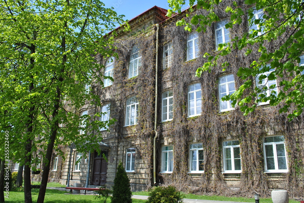 Fototapeta premium the old house of the virgins