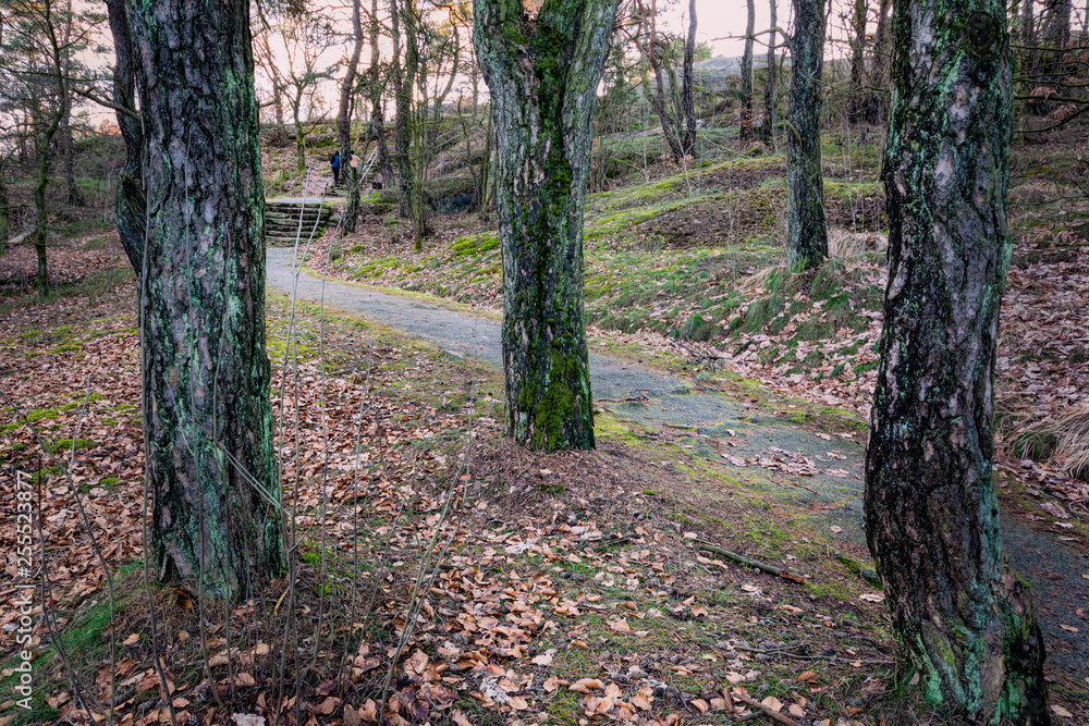 Small foot steps leading to the top of ramberget gothenburg