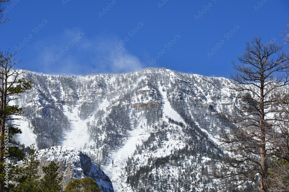 Snow capped mountains at Mount Charleston, Nevada