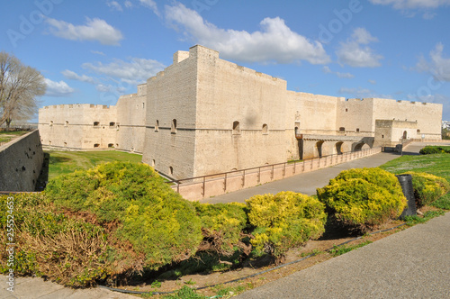 Barletta (Bari) - Castello photo