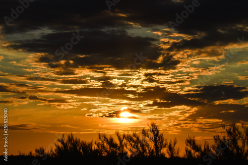 Orange warm sky and clouds in the dawn or sunset time with sun and trees © Igor Murtazin