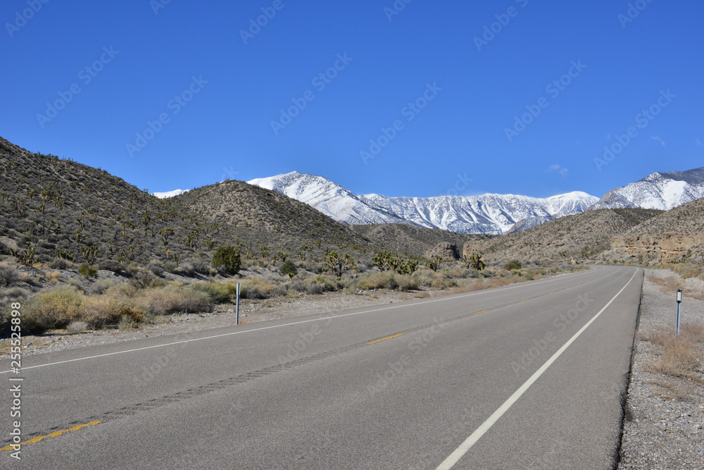 Naklejka premium A desert road leading to Mount Charleston, Nevada.