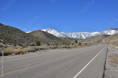 A desert road leading to Mount Charleston, Nevada.