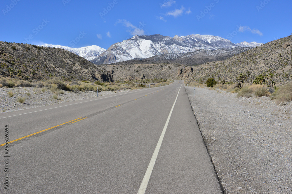 Fototapeta premium A desert road leading to Mount Charleston, Nevada.