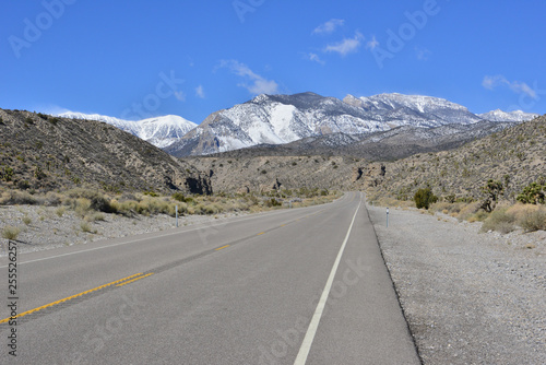 A desert road leading to Mount Charleston, Nevada.