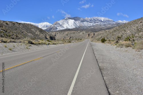 A desert road leading to Mount Charleston, Nevada.