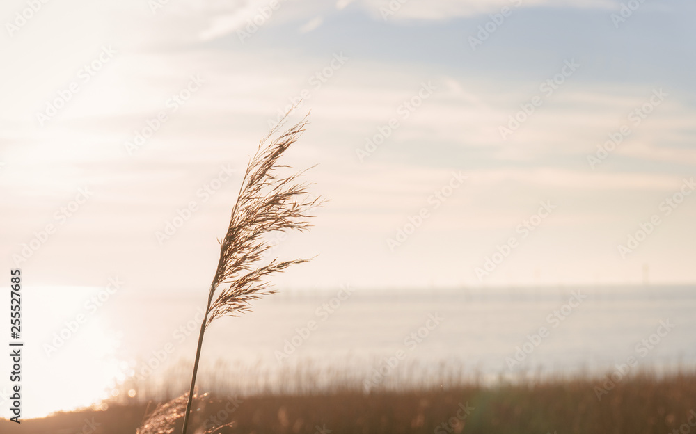 Auszeit