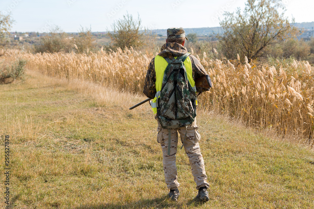Hunters with a german drathaar and spaniel, pigeon hunting with dogs in reflective vests Hunters with a german drathaar and spaniel, pigeon hunting with dogs in reflective vests