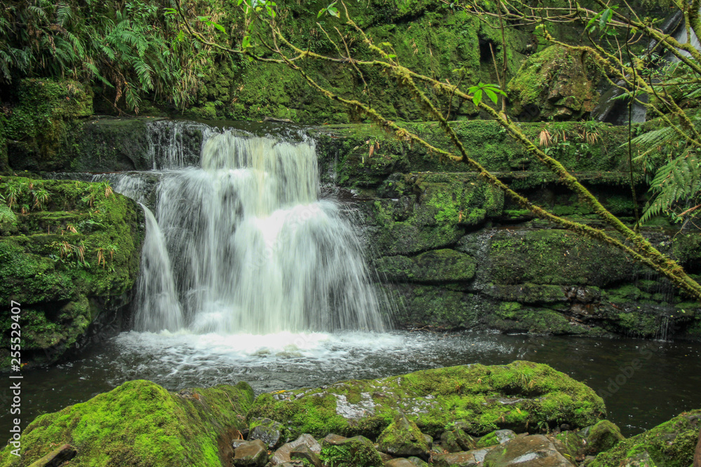 Obraz premium McLean Falls at The Catlins, South Island, New Zealand