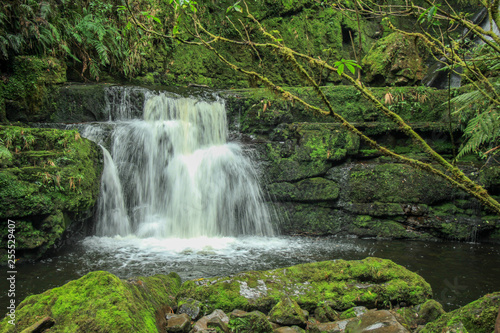 McLean Falls at The Catlins  South Island  New Zealand