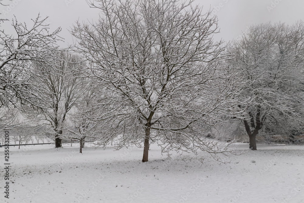 Fototapeta premium Winterlandschaft