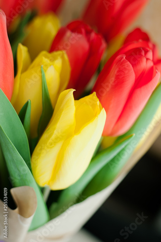 Vibrant colorful tulips photo