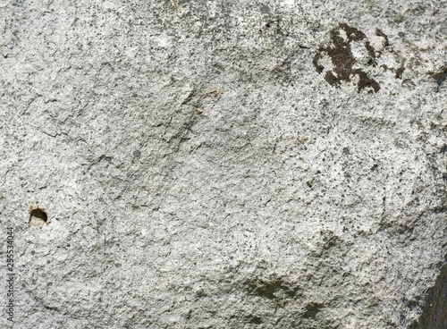 Stone with brown moss detailed texture, backdrop