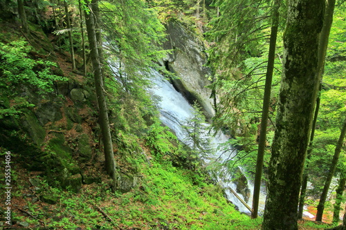 Waterfall in the forest