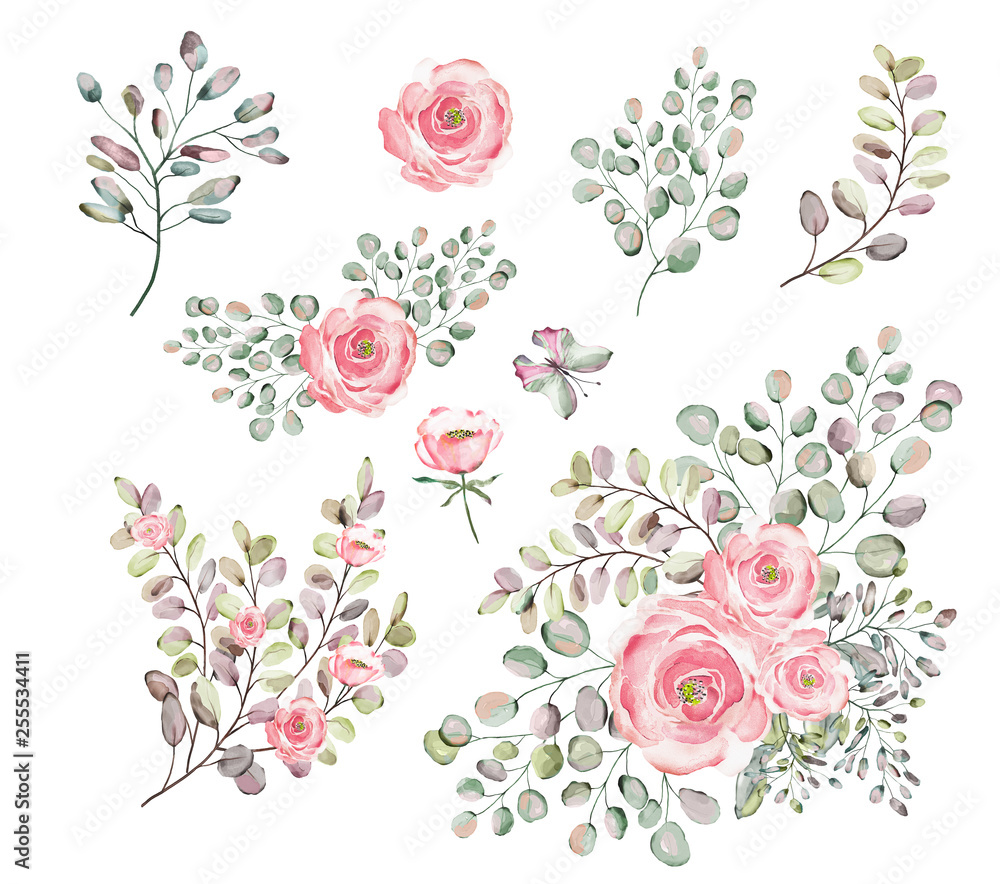 Roses. Watercolor illustration.  Botanical collection. Set of wild and garden herbs. Flowers, leaves, branches and other natural elements. Bouquets of pink roses.