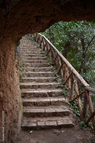Escaleras en la monta  a  naturaleza