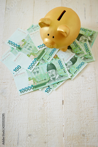 Korean won banknotes with piggy bank 