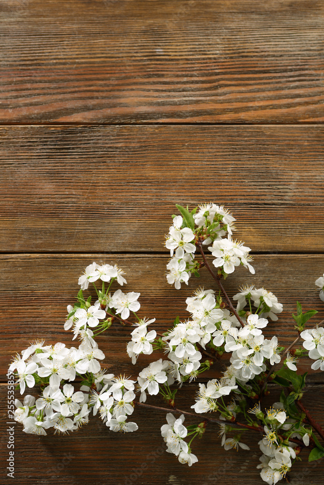 Wooden copy space with white spring flowers on twigs Wooden copy space with white spring flowers on twigs