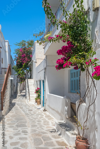 Fototapeta Naklejka Na Ścianę i Meble -  View of a typical narrow street in old town of Naoussa, Paros island, Cyclades