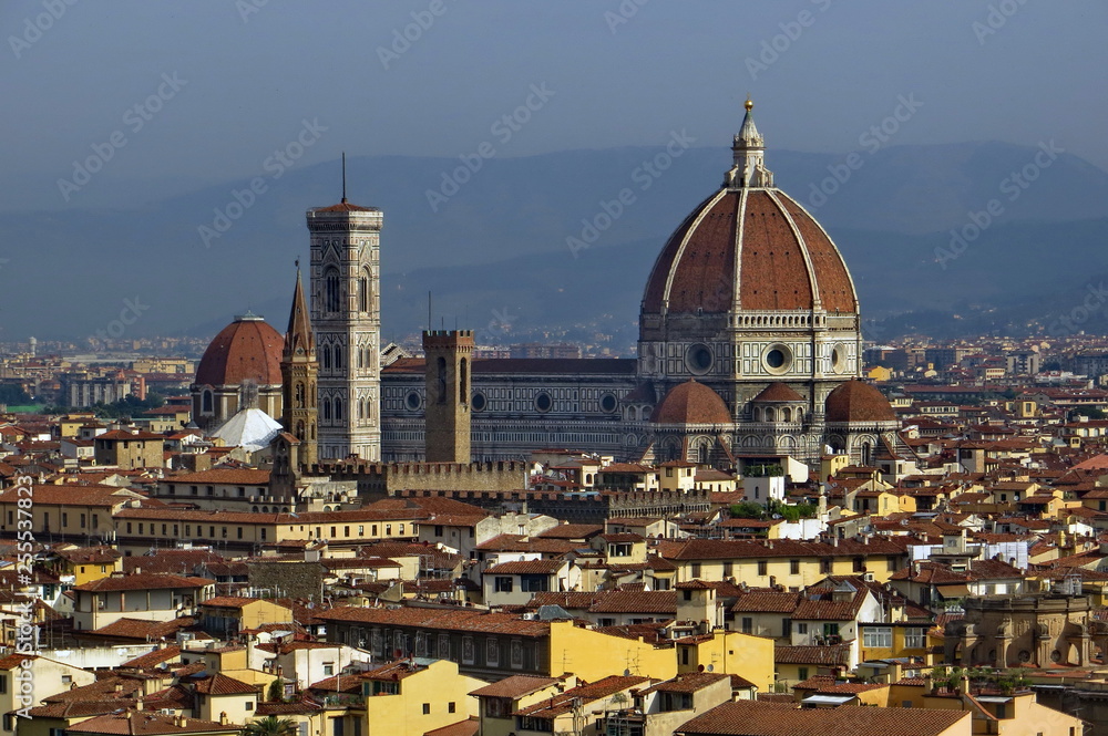 Panorama of Florence with the Cathedral 