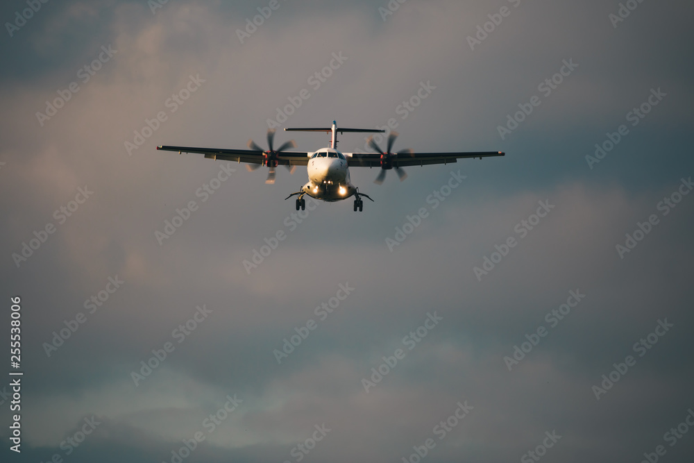 front view of a medium size Airplane landing with a cloudy background