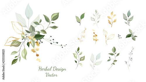 Twigs with gold and green leaves. Set: leaves, herbs, composition of gold and decorative elements.  Vector.