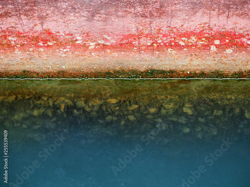 Фотография Shellfish on the hull of the ship. Molluscs