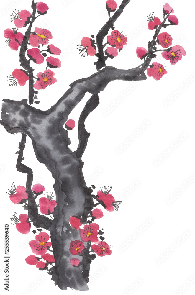 Fototapeta premium A branch of a blossoming sakura. Pink and red stylized flowers of plum mei and wild cherry . Watercolor and ink illustration of tree in style sumi-e, go-hua, u-sin. Oriental traditional painting. .