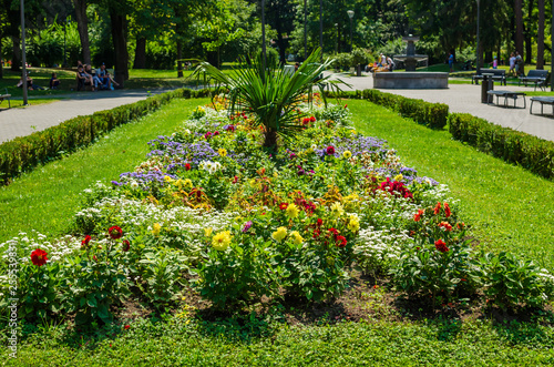 Fototapeta Naklejka Na Ścianę i Meble -  Different kind of flowers in a public park - Vrnjacka Banja, Serbia