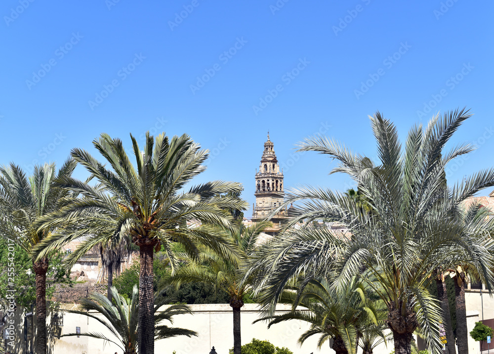 Minaret tower of the Great Mosque, Cordoba, Andalusia, Spain, Europe