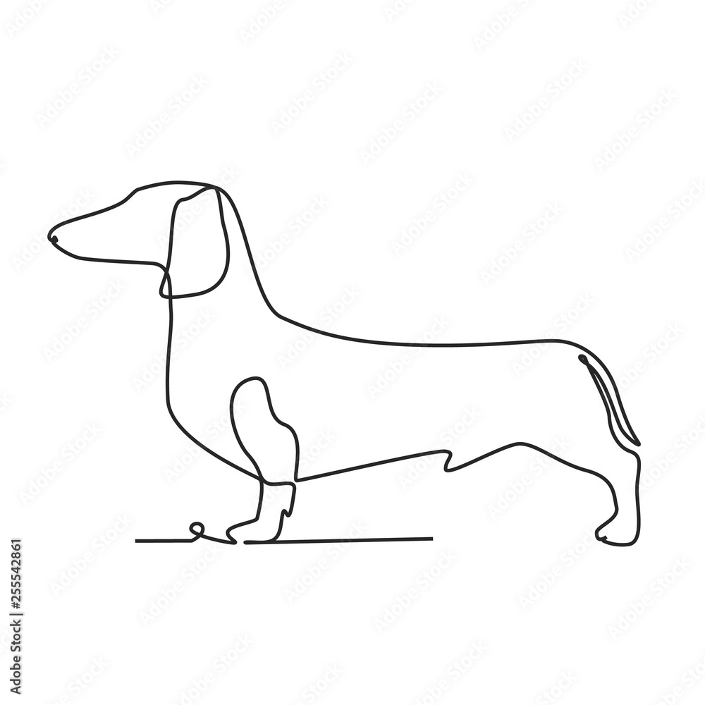 Drawing a continuous line. Dachshund on white isolated background
