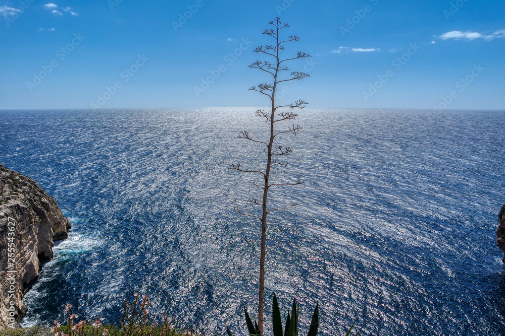 Sea view on Malta island near Blue Grotto