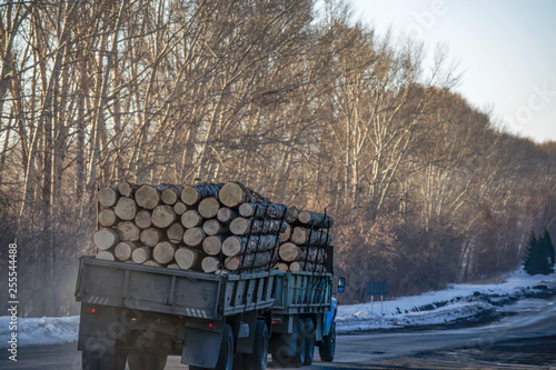 truck carries logs from the forest