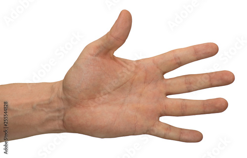 A hand gesture where the palm is open, all fingers sticking out. Hand on a white background, isolate.