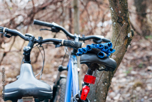 Two bikes are parked near the tree in the woods. The cyclist's mitts lie on the bike seat