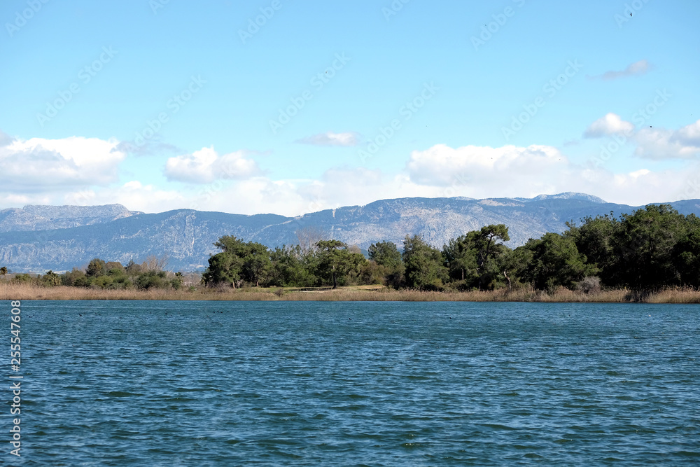 Beautiful natural landscape with lake at foreground and  green coniferous forest  and high mountains slopes covered with trees at far under blue sky with clouds on sunny day