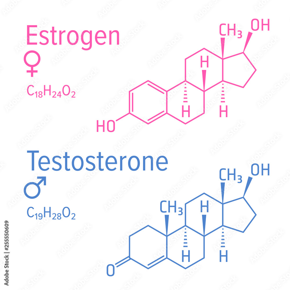 Estrogen and testosteron vector chemical formulas. Male and female steroid hormones. Chemical molecular formula.