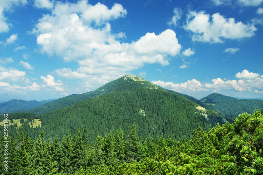 Beautiful cloudy sky over mountain slopes covered with pine forest, summer outdoor theme