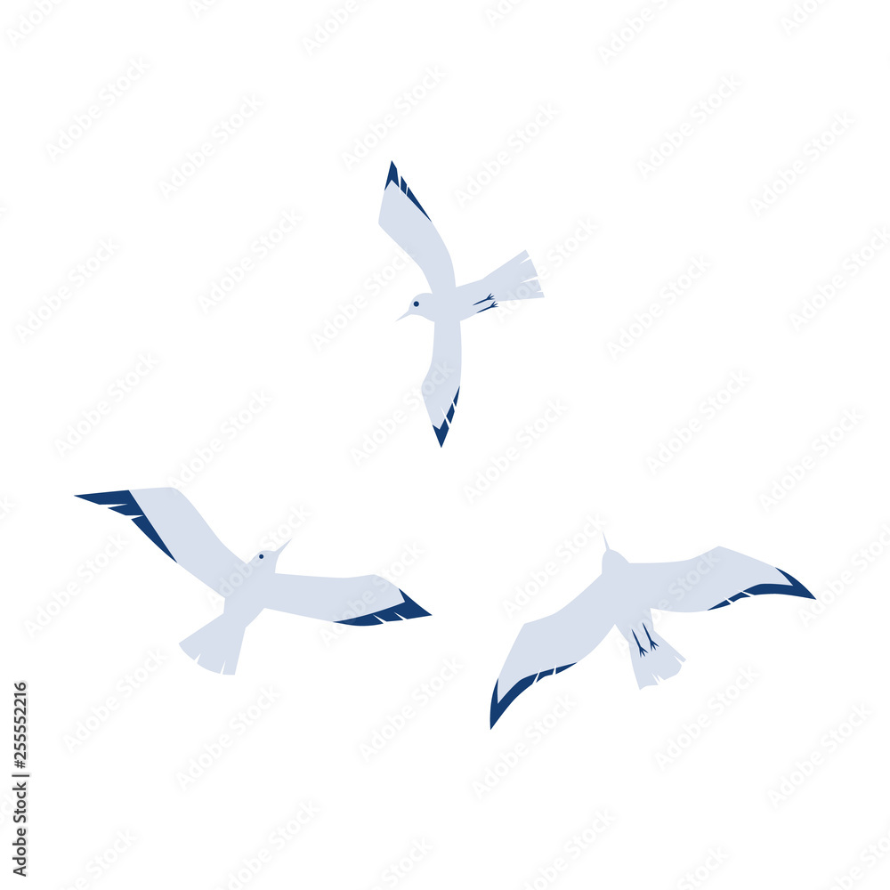 Seagulls in a flat cartoon style isolated on white background. Seagulls in a flat cartoon style isolated on white background.