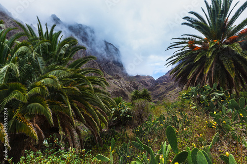 Fabulous Masca mountain gorge the most visited tourist attraction on Tenerife