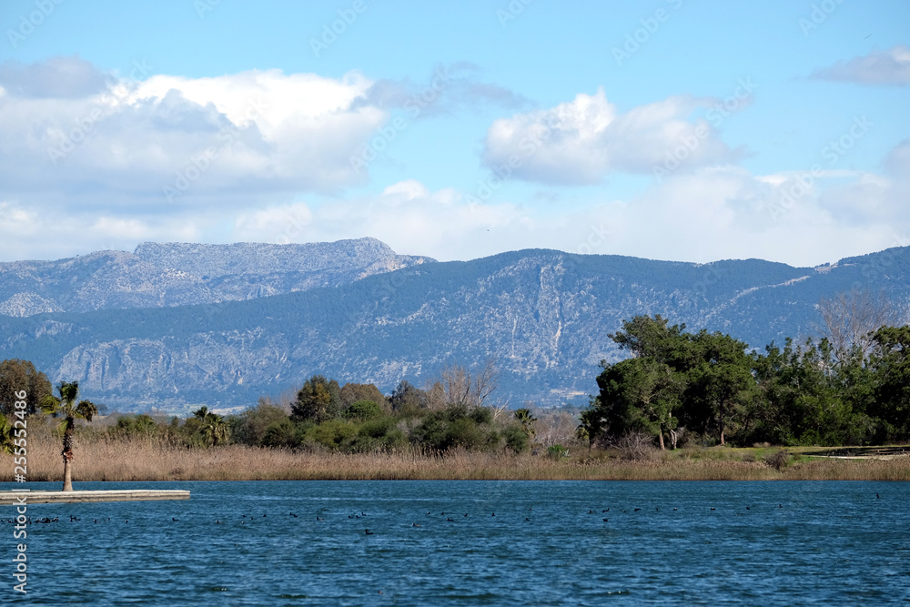 Beautiful natural landscape with lake at foreground and  green coniferous forest  and high mountains slopes covered with trees at far under blue sky with clouds on sunny day