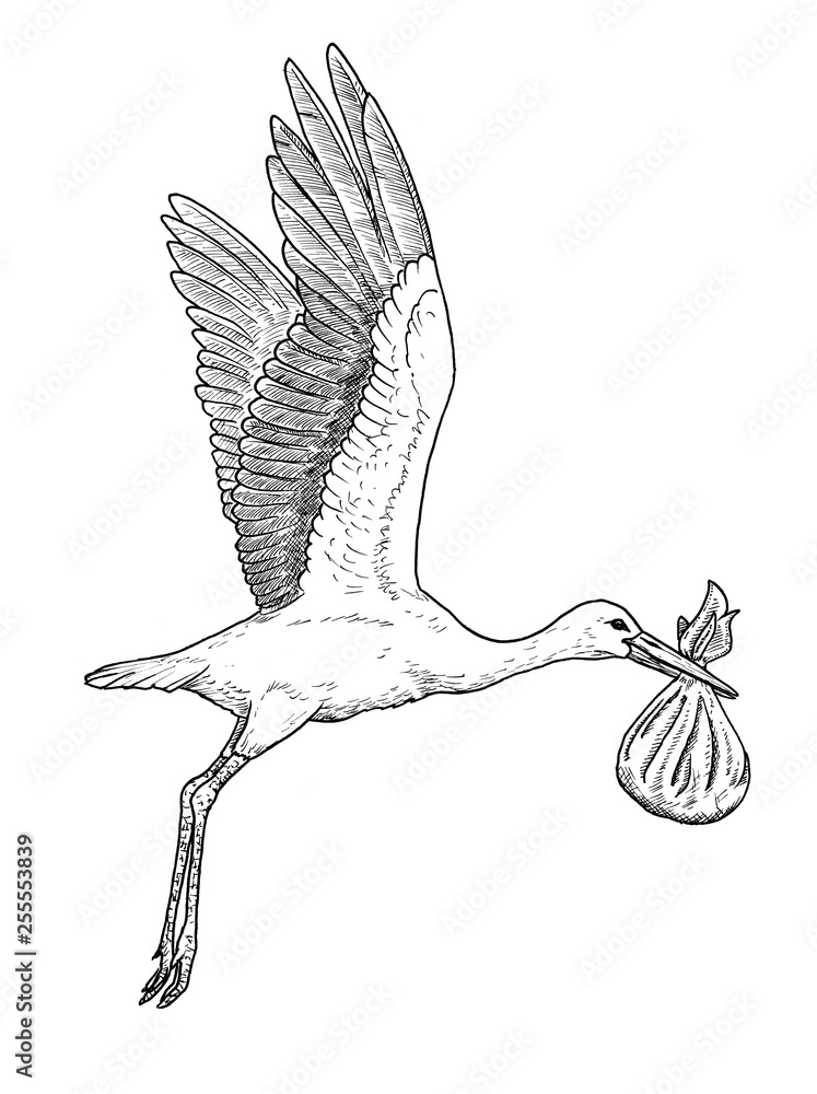 Stork Bird Illustration - Graphics | Motion Array