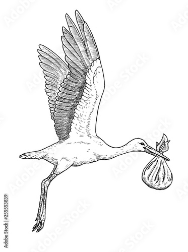 Drawing of white stork bird carrying baby in bag - hand sketch of flying ciconia ciconia, black and white illustration