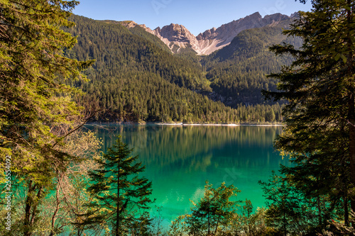 Beautiful view of Lake Tovel, the largest of all natural lakes in Trentino in the Adamello Brenta Park.