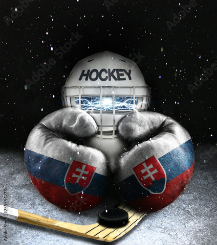 Canvas Print Ice hockey Slovakia concept