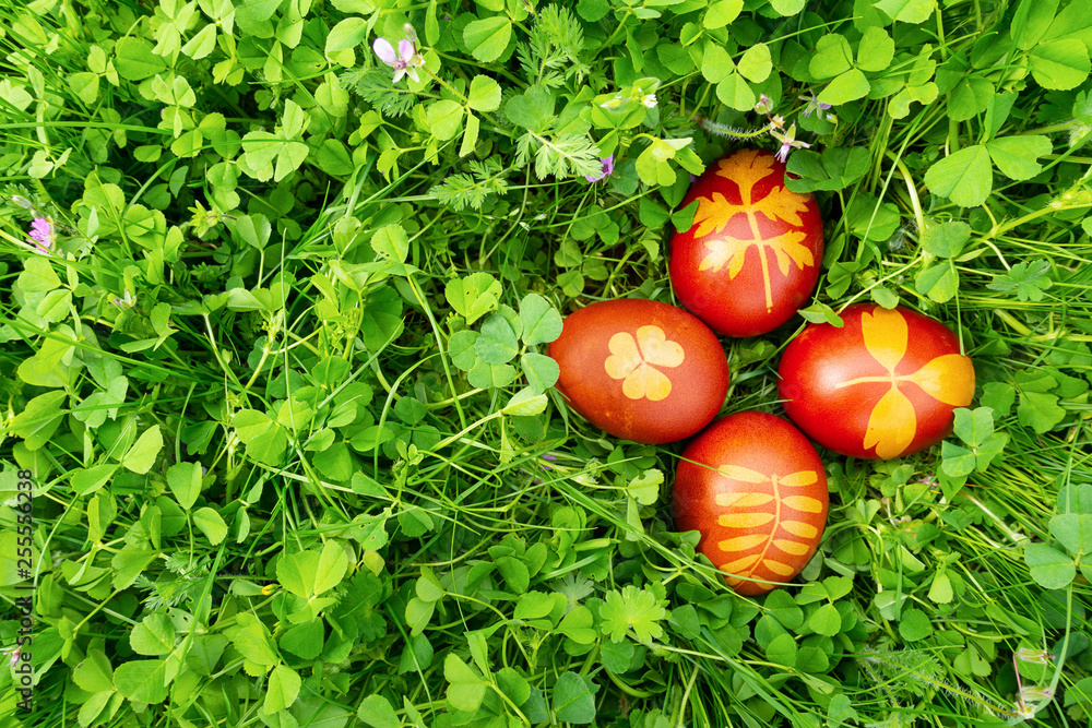Uova di Pasqua colorate con buccia di cipolla Uova di Pasqua colorate con buccia di cipolla
