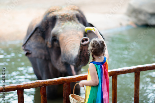 Photography Kids feed elephant in zoo. Family at animal park.