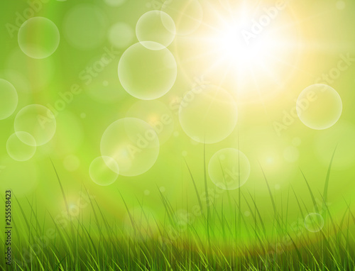 Green nature background, sunny with grass as spring vector background.